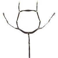 Hans Melzer Horse Equipment Hans Melzer Vorderzeug Balve braun/messing WB EXTRA (KB-Kaltblut) von Hans Melzer Horse Equipment