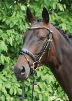 Hans Melzer Horse Equipment Trense Hannover, schwarz/messing, Vollblut Hans Melzer Horse Equipment Trense Hannover, schwarz/messing, Vollblut von Hans Melzer