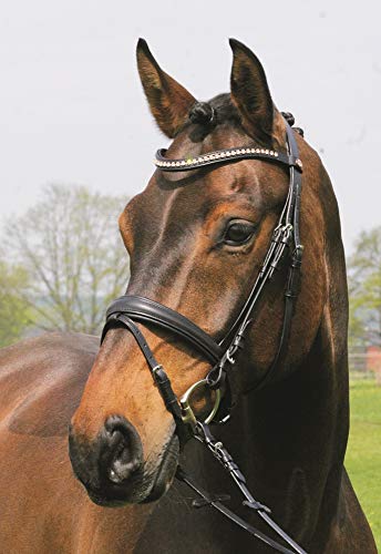 Hans Melzer Horse Equipment Trense Mechtersen, schwarz/silber, Vollblut von Hans Melzer