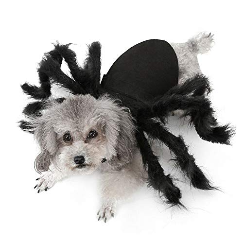 Haodasi Haustier Hunde Katzen Halloween Kleidung - Welpensimulation Spinne Cosplay Kostüm Lustiges Outfits von Haodasi