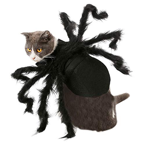 Haodasi Haustier Hunde Katzen Halloween Kleidung - Welpensimulation Spinne Cosplay Kostüm Lustiges Outfits von Haodasi
