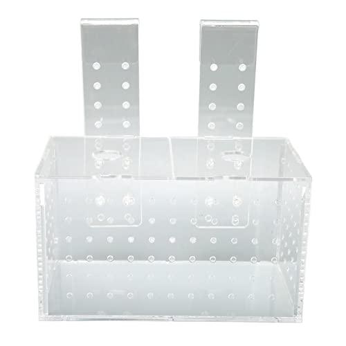 Haofy Aquarium-Inkubator, Fischzuchtbox, Verstellbare Hakenlänge, Transparentes Rundes Loch-Design für Aquarien (17 * 9 * 10CM) von Haofy
