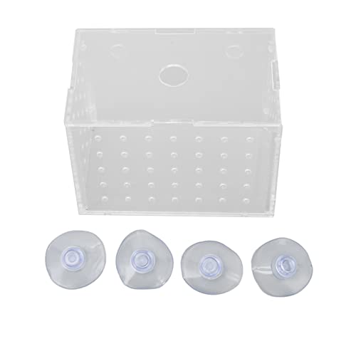 Fischzuchtbox, Sucker-Fixierung, Hochtransparentes Acryl-Aquarium-Brut-Inkubatorbecken für Aquarien (11 * 7 * 8CM) von Haofy