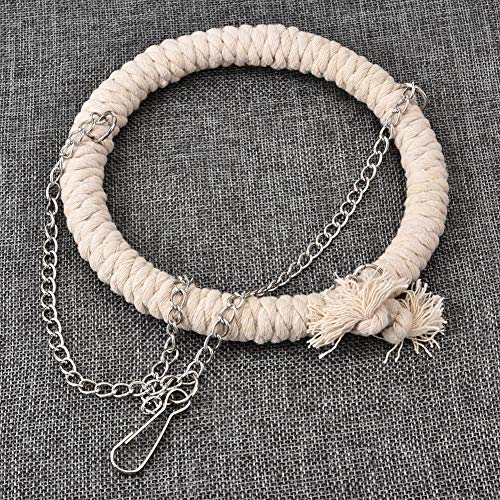 Haofy Baumwollseile Klettern Stehstand für Körperliche Bewegung, Dekompression und Intelligente Entwicklung für Vögel - Weiß, Größe: 16 cm / 6,30 Zoll, für Haustiere für Haustiere Haofy Baumwollseile Klettern Stehstand für Körperliche Bewegung, Dekompression und Intelligente Entwicklung für Vögel - Weiß, Größe: 16 cm / 6,30 Zoll, für Haustiere für Haustiere von Haofy