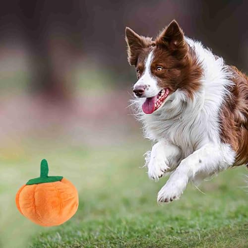 Haofy Bissfestes Langeweile Relief Safe Kürbishund Kauen Plüschspielzeug für Kleine und Große Hunde aus Premium -Material, Geeignet für Alle Hunderassen, Stabil und Langlebig, Verlangsamen Sie den von Haofy
