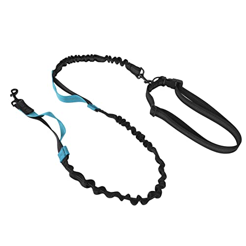 Haofy Bungee-Hundeleine, Sicherheits-Nylon, Verstellbar, Verhedderungsfrei, Legierungsschnalle, Elastische Hundeleine mit 2 Gepolsterten Griffen für das Training (Blue) von Haofy