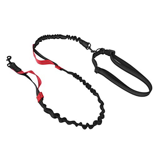 Haofy Bungee-Hundeleine, Sicherheits-Nylon, Verstellbar, Verhedderungsfrei, Legierungsschnalle, Elastische Hundeleine mit 2 Gepolsterten Griffen für das Training (Rot) von Haofy