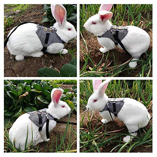 Haofy Dehnsame Leine, Hasengurt, Gentlemanly -Stil -Baumwollkabelbaum für Outdoor Aktivitäten, Spielen, Bunny mit Vintage Formeller Anzug, Tolles Dress up, Hände (S) von Haofy