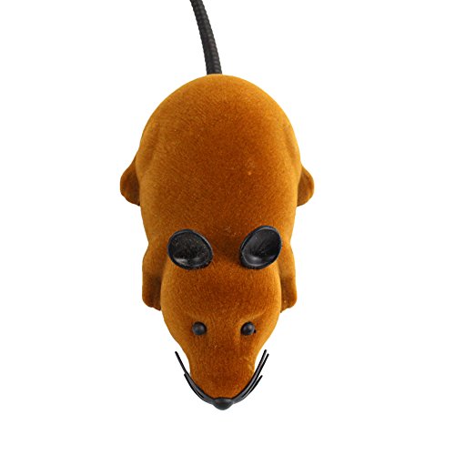Haofy Elektronische Fernbedienungs -Steuerung Spielzeug für Katzenpuppen, Niedliches Lustiges Braunes Rattenspielzeug für 3+ mit Fernbedienung, Tragbarem und Kunststoff + Flockenmaterial Haofy Elektronische Fernbedienungs -Steuerung Spielzeug für Katzenpuppen, Niedliches Lustiges Braunes Rattenspielzeug für 3+ mit Fernbedienung, Tragbarem und Kunststoff + Flockenmaterial von Haofy