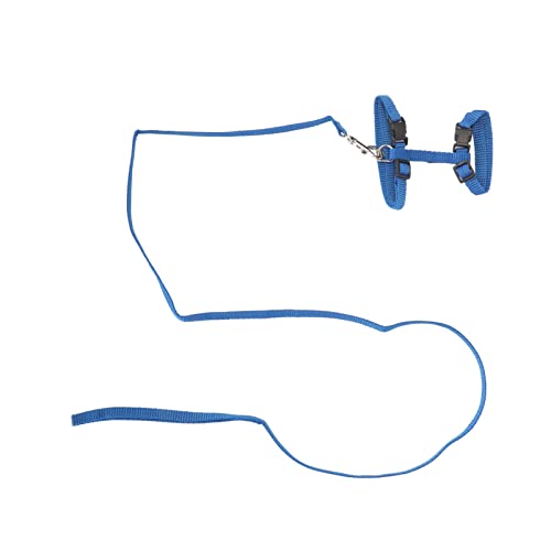 Haofy Escape Proof Adorable Cat -Kabelblei Zusammen mit Schnellen Locken, Material, Ideal für Gehen Im Freien und für Katzen Aller Größen Geeignet (Blue) von Haofy