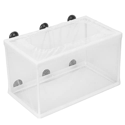 Haofy Fischtank Schlüpfen Fischisolation Züchterbox mit Saugnäpfeln L Aquarium -Testkits für Kleine Fischbrüte (L) von Haofy