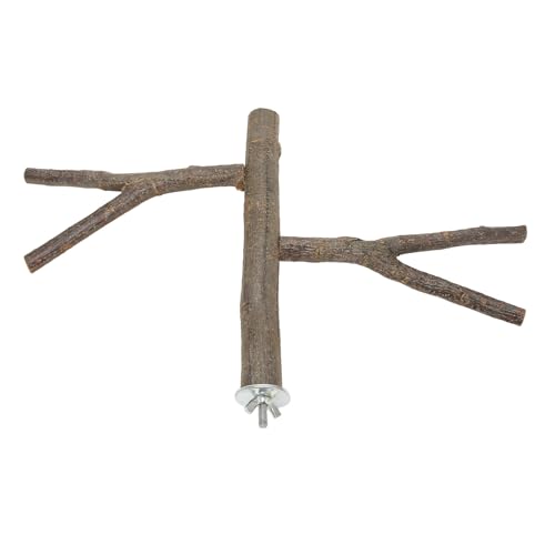 Haofy Papageienzweig Barch Stand, Vogelkäfigspielzeug für Cockatiels Lovebirds, Sicher und Leicht zu Installieren Haofy Papageienzweig Barch Stand, Vogelkäfigspielzeug für Cockatiels Lovebirds, Sicher und Leicht zu Installieren von Haofy