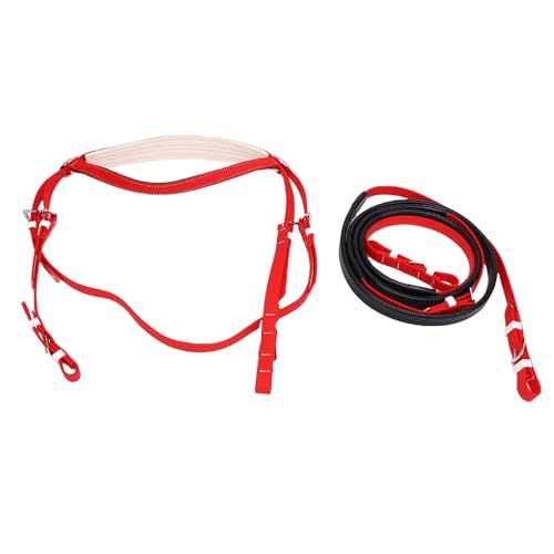Haofy Pferdehalter Pferdebaumung PVC PU Leder Nylon mit Rein | Zum Reiten, Zum Training, Zum Täglichen Gebrauch von Haofy