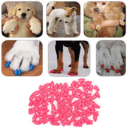Haustierhund Weiche PVC -Nagelabdeckung Pfoten Klauenkappe Wickelzubehör für Hunde 100pcs Orange S M L XL (M) von Haofy