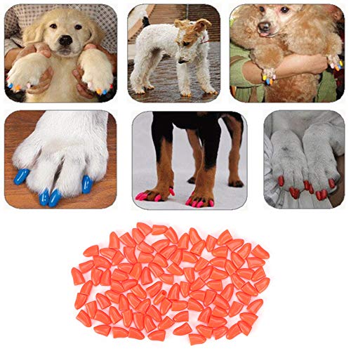 Haustierhund Weiche PVC -Nagelabdeckung Pfoten Klauenkappe Wickelzubehör für Hunde 100pcs Orange S M L XL (M) von Haofy