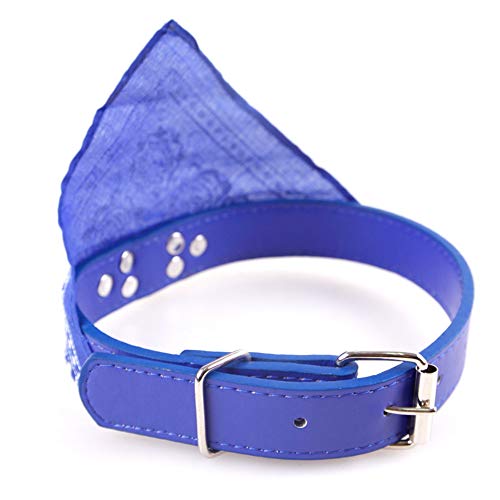Verstellbarer Ethnischer Stilmuster Katzenhundkragen für Tägliche Verschleiß, Party, Fotografie - Stahlschnallen Pet Bib Schalel (#1) von Haofy
