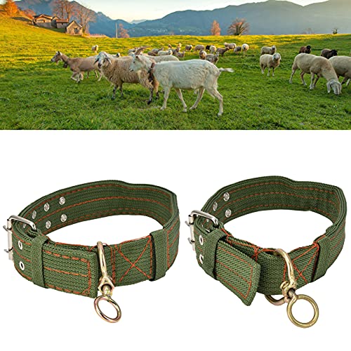 Verstellbares Dickes Hundehalsband, Schafhalsband Hundehalsband Canvas Halsband für, Schaf, Rind, Hund, Kamel(groß) von Haofy