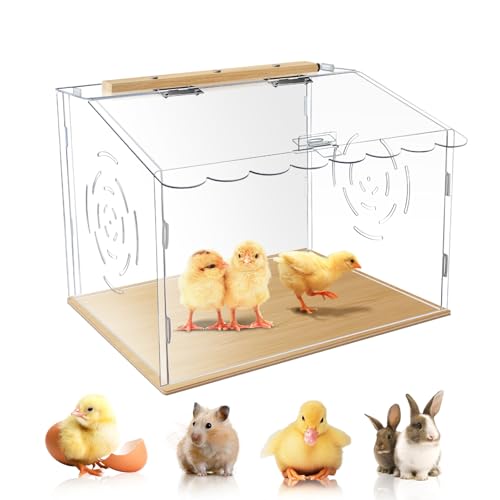 Geräumiges Kükenbrutset aus Acryl, transparent, perfekt für Küken, Igel, Hamster, Reptilien von Haohai