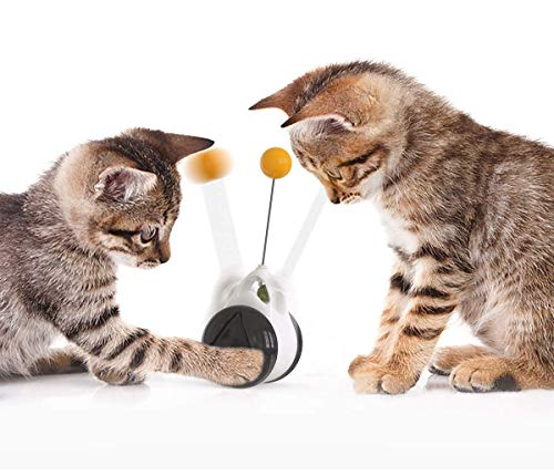 Interaktives Katzenspielzeug Katzenfederspielzeug für Indoor Cat Balance Swing Auto Cat Chase Toys 360 Grad selbstdrehender Ball Katzenminze Haustier Spielzeug für Katzen Unterhaltung (Schwarz) von Haojie