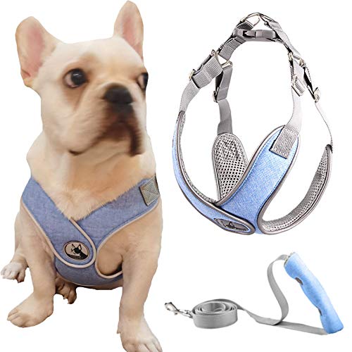 No Pull Dog Vest Harness, verstellbares, atmungsaktives, reflektierendes, weich gepolstertes Welpen-Katzengeschirr-Leinen-Set für das Training im Freien (L, Blau) von Haojie