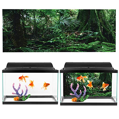 Haokaini Aquarium Hintergrund Aufkleber PVC Regenwald Muster Selbstklebende Aufkleber Poster Aquarium Wandbild Malerei Dekoration für Reptilien Box 91X50cm / 35X19in von Haokaini