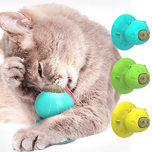 Katzenminze Spielzeug Katze Lecken Spielzeug mit Saugnapf Haustier Zähne Reinigung Kauspielzeug mit 2 Stück Katzenminze Behandelt Katze Behandeln Ball zum Reinigen Der Zähne/ von Haokaini