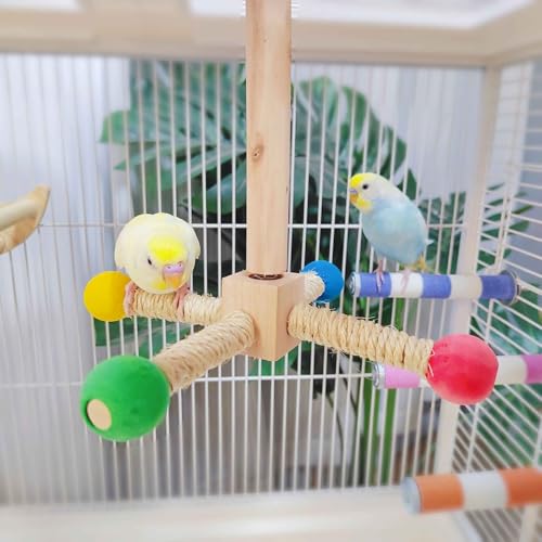 Drehbarer Vogelständer mit bunten Holzkugeln, 360° drehbar, Seilstange für Sittiche, Wellensittiche und kleine Vögel Drehbarer Vogelständer mit bunten Holzkugeln, 360° drehbar, Seilstange für Sittiche, Wellensittiche und kleine Vögel von Haourlife
