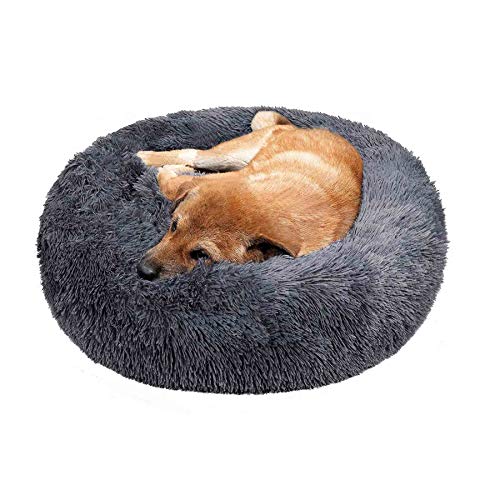 Hundebett Kleine Hunde Rund, Rundes Hundekissen, Sofa Rundes Kissen Katzensofa Kissen in Doughnut, weich, waschbar, Für Hunde Und Katzen - Dunkelgrau Ø 80cm Hundebett Kleine Hunde Rund, Rundes Hundekissen, Sofa Rundes Kissen Katzensofa Kissen in Doughnut, weich, waschbar, Für Hunde Und Katzen - Dunkelgrau Ø 80cm von Haoye