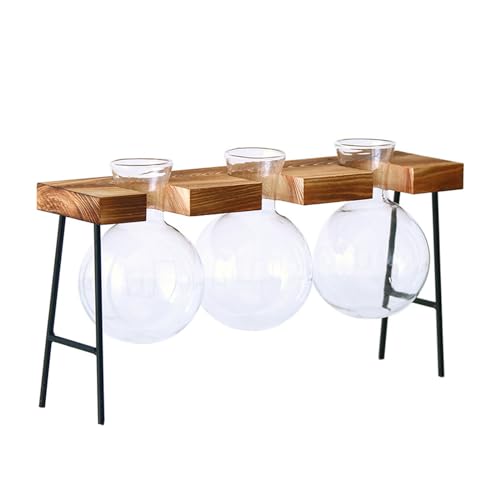 Desktops Pflanzen-Terrarien mit Holzständer, Anzuchtstationen, elegante Klarglas-Zwiebelvase, Pflanzgefäß für Hydrokultur Desktops Pflanzen-Terrarien mit Holzständer, Anzuchtstationen, elegante Klarglas-Zwiebelvase, Pflanzgefäß für Hydrokultur von Haoyull