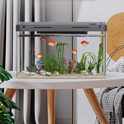19L Aquarium mit Filter und Licht, Rechteckig, Schwarz, Modern Aquarium Komplettset, Acryl -Aquarium Mini Fischtank Tischdekoration, Tropische Fisch Tank Kit für Fische und Wasserpflanzen 19L Aquarium mit Filter und Licht, Rechteckig, Schwarz, Modern Aquarium Komplettset, Acryl -Aquarium Mini Fischtank Tischdekoration, Tropische Fisch Tank Kit für Fische und Wasserpflanzen von Hapihom