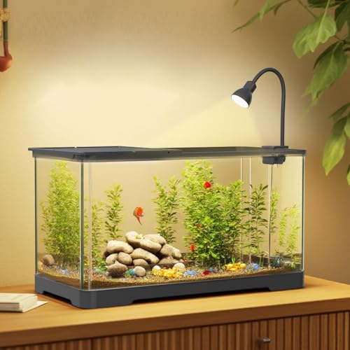 Aquarium Komplettset mit LED-Beleuchtung, Filtersystem, 18L Fischtank mit Wasserpumpe, 40x22x23cm Glasbecken mit Deckel, Heim Bürodekoration tropischeAquarien für Betta Fische Wasserpflanzen Aquarium Komplettset mit LED-Beleuchtung, Filtersystem, 18L Fischtank mit Wasserpumpe, 40x22x23cm Glasbecken mit Deckel, Heim Bürodekoration tropischeAquarien für Betta Fische Wasserpflanzen von Hapihom