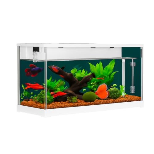 Aquarium mit Filter und Lich, Aquarium Komplettset mit LED-Beleuchtung, transparentes Acrylic Kleines Nanoaquarium mit leise Wasserpumpe, Tropenfischaquarium für Fische und Garnelen 38x14x18 cm Aquarium mit Filter und Lich, Aquarium Komplettset mit LED-Beleuchtung, transparentes Acrylic Kleines Nanoaquarium mit leise Wasserpumpe, Tropenfischaquarium für Fische und Garnelen 38x14x18 cm von Hapihom