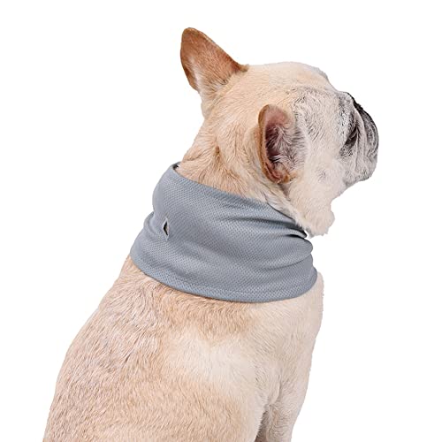 Hapihom Sommer-Eishalsband, für den Außenbereich, bequem, atmungsaktiv, kühlendes Bandana, Haustierzubehör für Hunde und Katzen, Grau S Hapihom Sommer-Eishalsband, für den Außenbereich, bequem, atmungsaktiv, kühlendes Bandana, Haustierzubehör für Hunde und Katzen, Grau S von Hapihom