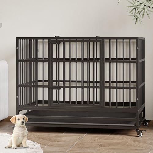 Hundekäfig hochbelastbar, Hundekäfig Transportbox Schwerlast mit 2 Türen, 108x72.4x85cm Hundebox Große Hunde mit Herausnehmbares, Metall Hundezwinger mit 4 Rädern für Kleine Mittelgroße Große Hunde Hundekäfig hochbelastbar, Hundekäfig Transportbox Schwerlast mit 2 Türen, 108x72.4x85cm Hundebox Große Hunde mit Herausnehmbares, Metall Hundezwinger mit 4 Rädern für Kleine Mittelgroße Große Hunde von Hapihom
