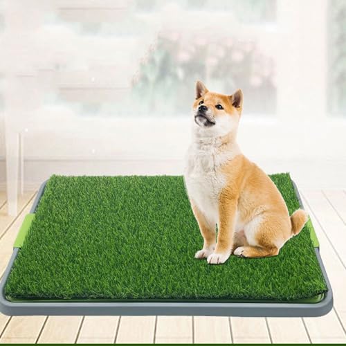 Hundeklo, 68 x 43 cm Welpentoilette Rasen, Wiederverwendbare Hundetoilette mit waschbarer Tablett, hochdurchlässiger Kunstrasen Trainingsunterlagen für Hunde für Zuhause, Wohnung Hundetrainingsplatz Hundeklo, 68 x 43 cm Welpentoilette Rasen, Wiederverwendbare Hundetoilette mit waschbarer Tablett, hochdurchlässiger Kunstrasen Trainingsunterlagen für Hunde für Zuhause, Wohnung Hundetrainingsplatz von Hapihom