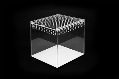 HAPPET Acryl Terrarium - 360° Durchsichtig, Optimale Belüftung, Magnetverschluss - Ideal für Spinnen, Schnecken, Eidechsen, Kleine Reptile und Insekten (15x15x15cm) von Happet