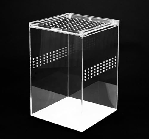 HAPPET Acryl Terrarium - 360° Durchsichtig, Optimale Belüftung, Magnetverschluss - Ideal für Spinnen, Schnecken, Eidechsen, Kleine Reptile und Insekten (15x15x23cm) von Happet