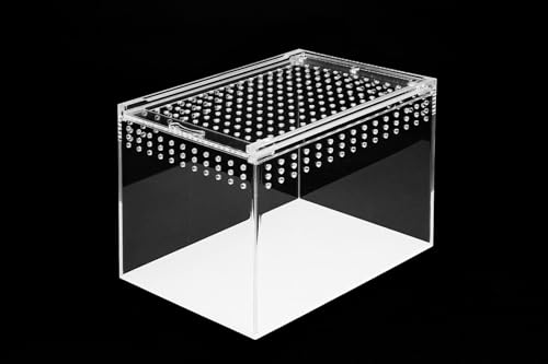 HAPPET Acryl Terrarium - 360° Durchsichtig, Optimale Belüftung, Magnetverschluss - Ideal für Spinnen, Schnecken, Eidechsen, Kleine Reptile und Insekten (20x15x15cm) von Happet