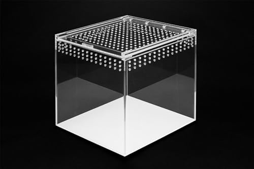HAPPET Acryl Terrarium - 360° Durchsichtig, Optimale Belüftung, Magnetverschluss - Ideal für Spinnen, Schnecken, Eidechsen, Kleine Reptile und Insekten (20x20x20cm) von Happet