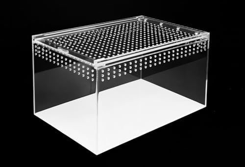 HAPPET Acryl Terrarium - 360° Durchsichtig, Optimale Belüftung, Magnetverschluss - Ideal für Spinnen, Schnecken, Eidechsen, Kleine Reptile und Insekten (25x15x15cm) von Happet