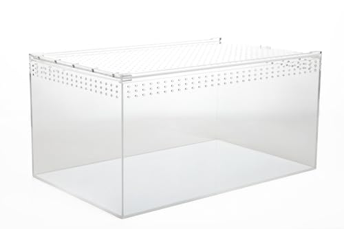 HAPPET Acryl Terrarium - 360° Durchsichtig, Optimale Belüftung, Magnetverschluss - Ideal für Spinnen, Schnecken, Eidechsen, Kleine Reptile und Insekten (40x25x20cm) von Happet