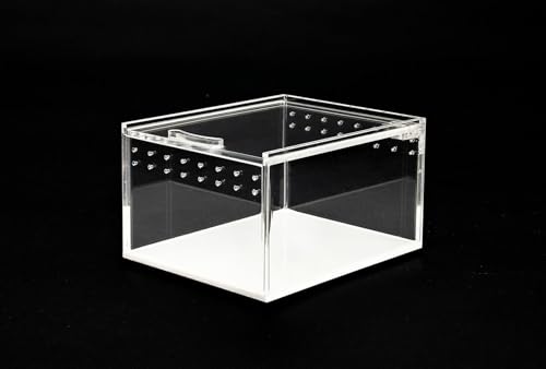Happet Acryl Terrarium 10.5x8.5x6cm - 360° Durchsichtig, Optimale Belüftung, Magnetverschluss - Ideal für Spinnen, Schnecken, Eidechsen, Kleine Reptilien und Insekten Happet Acryl Terrarium 10.5x8.5x6cm - 360° Durchsichtig, Optimale Belüftung, Magnetverschluss - Ideal für Spinnen, Schnecken, Eidechsen, Kleine Reptilien und Insekten von Happet