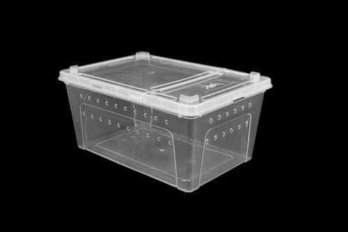 Happet Breeding Box 15x10x6.5 cm - Kompakte Zuchtbox transparent mit Belüftung und doppelseitigem Deckel | Kunststoffbox für kleine Vögel, Insekten und Spinnentiere von Happet