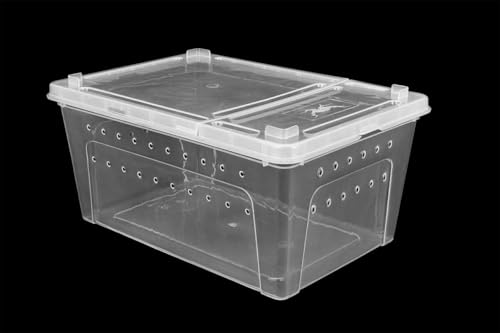Happet Breeding Box 19×12.5×7.5cm - Zuchtbehälter transparent mit Belüftung und doppelseitigem Deckel | Kunststofftransporter und Miniterrarium für Reptilien, Amphibien, Insekten und Spinnentiere von Happet