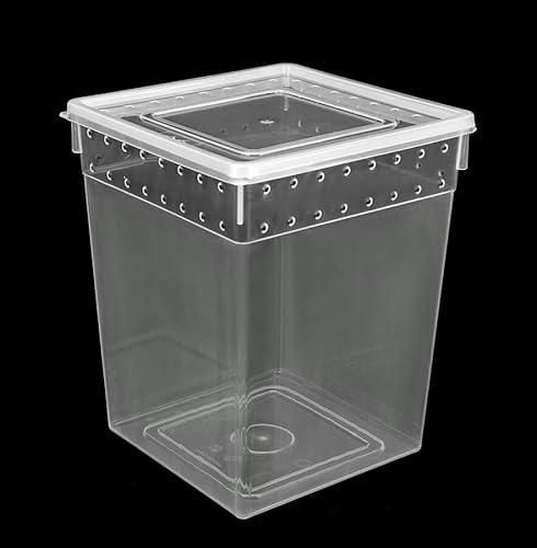 Happet Breeding Box 21×21×25 cm - Zuchtbehälter transparent mit Belüftung und doppelseitigem Deckel | Plastikterrarium für Bäume, Spinnentiere und Insekten von Happet