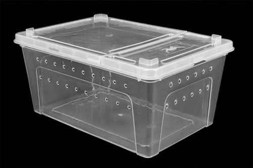 Happet Breeding Box 26×17.5×11.5cm - Zuchtbehälter transparent mit Belüftung und doppelseitigem Deckel | Kunststofftransporter und Miniterrarium für Reptilien, Amphibien, Insekten und Spinnentieren von Happet