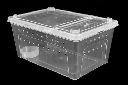 Happet Breeding Box 32×22×15 cm - Zuchtbehälter transparent mit Belüftung und doppelseitigem Deckel | Kunststofftransporter und Miniterrarium für Reptilien, Amphibien, Insekten und Spinnentiere von Happet