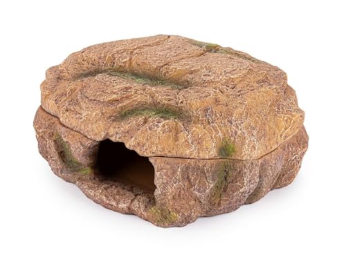 Happet Höhle nass XL Terrarium - abschließbare Feuchthaltespitze, Naturschmuck und Zuflucht für Skorpion, Vögel, Eidechsen und Schlangen, 29×24,5×13cm von Happet