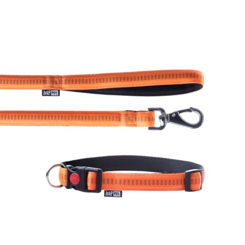 Happet JP44 Hundeleine und Halsband Soft Style 2,5 cm Größe XL (40 bis 64 cm) x L 120 cm aus Nylon, Orange/Schwarz von Happet
