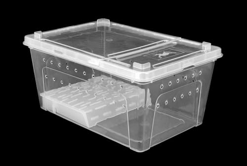 Happet Zuchtbox BREEDING BOX mit Plattform 27 cm - Kunststoffterrarium mit Belüftung und Deckel, ideal für Reptilien, Amphibien, Insekten und Spinnentiere von Happet